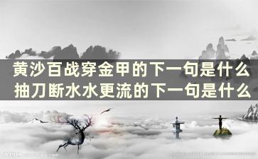 黄沙百战穿金甲的下一句是什么 抽刀断水水更流的下一句是什么